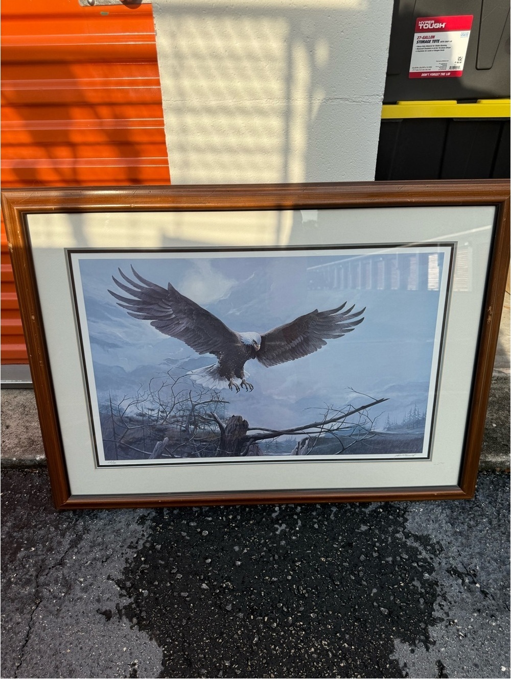 Mario F. Fernandez Spirit of Freedom Signed Bald Eagle 578/580‎